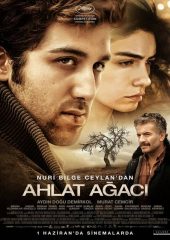 Ahlat Ağacı