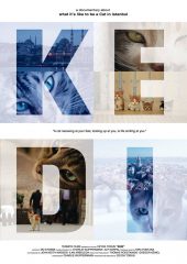 Kedi