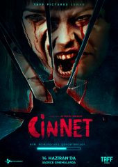 Cinnet
