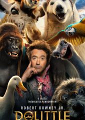 Dolittle