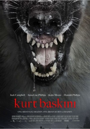 Kurt Baskını