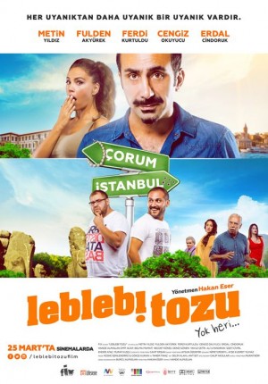 Leblebi Tozu