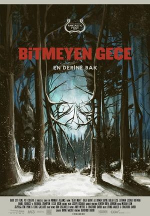 Bitmeyen Gece
