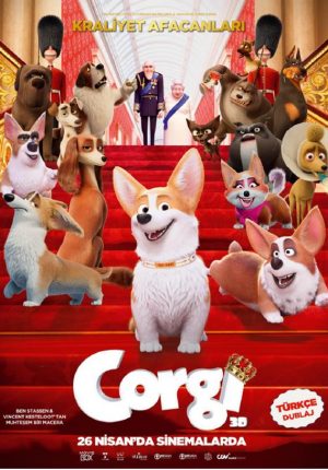 Corgi