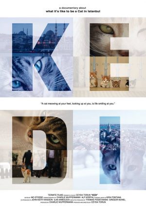 Kedi