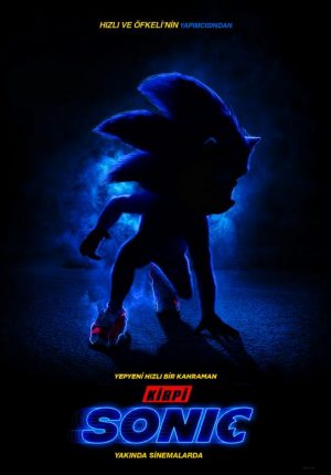 Kirpi Sonic