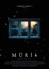 Mürit
